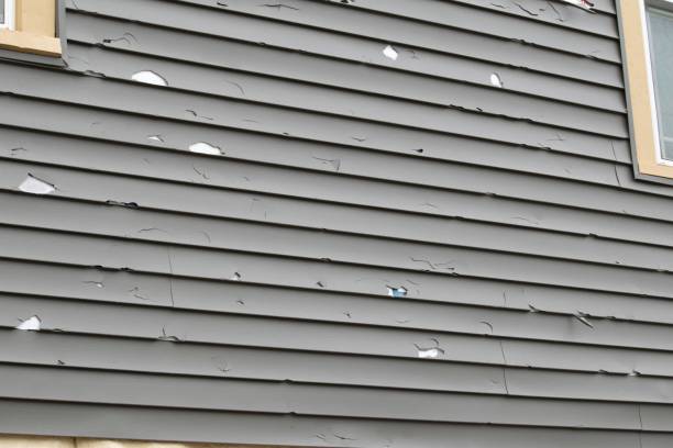 Best Residential Vinyl Siding Installation  in Sun City West, AZ